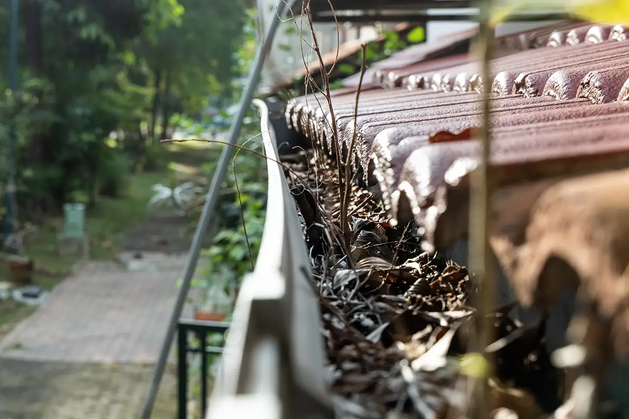 Cheshire Gutter Services
